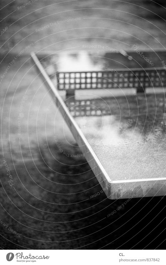 Pitch Patch Ping Pong Table tennis Table tennis table Autumn Bad weather Rain Wet Break Sports Black & white photo Exterior shot Deserted Copy Space top Day
