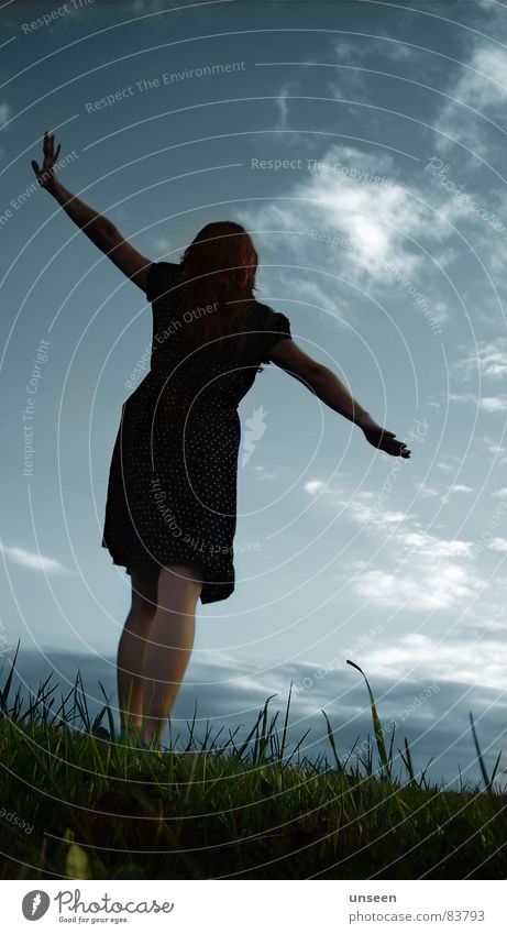 weather with you Joy Freedom Woman Adults Arm Sky Grass Meadow Dress Green Blade of grass Silhouette Young woman Joie de vivre (Vitality) Swing Rear view