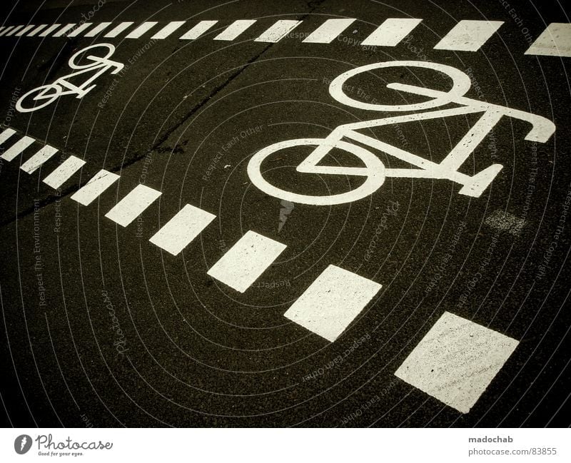 BIKE Bicycle Cycle path Lee Pedal Tandem Standard Driving Movement Transport Gray Asphalt Icon Pictogram Mobility Town Square Graphic Schedule (transport) Alley