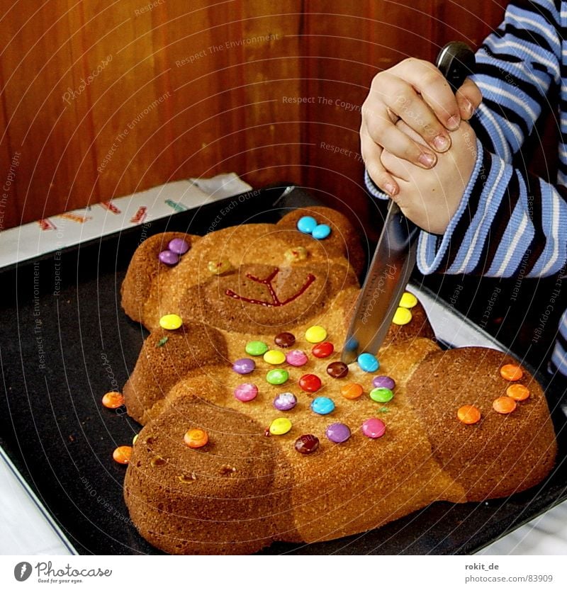 So bear Bruno really died Teddy bear Chocolate buttons Cake Hand Cut Kill Birthday cake Tin Nutrition Pierce Fingers Child Children`s hand Baked goods Bear