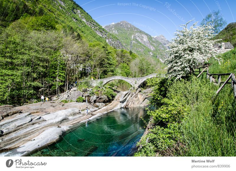 Lavertezzo Nature Landscape Alps River bank Verzasca valley Canton Tessin Switzerland Europe Bridge Idyll Vacation & Travel Colour photo Exterior shot Morning