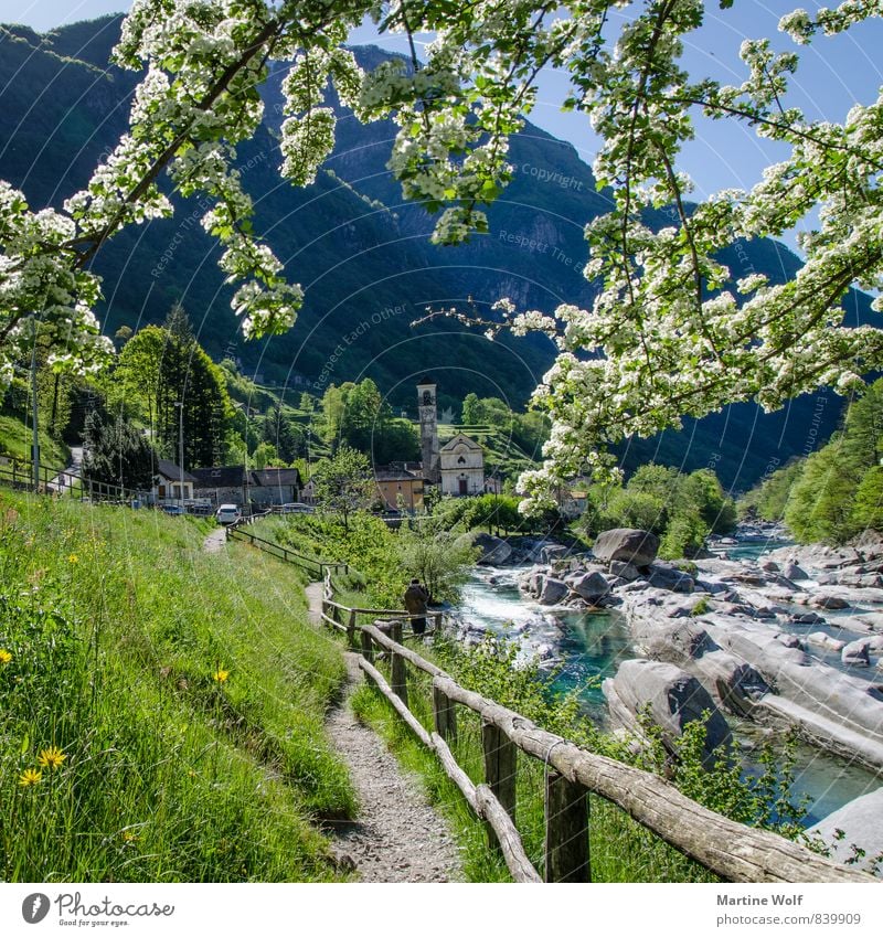 Lavertezzo square Nature Landscape Alps River bank Verzasca valley Canton Tessin Switzerland Europe Village Vacation & Travel Fence Lanes & trails Colour photo