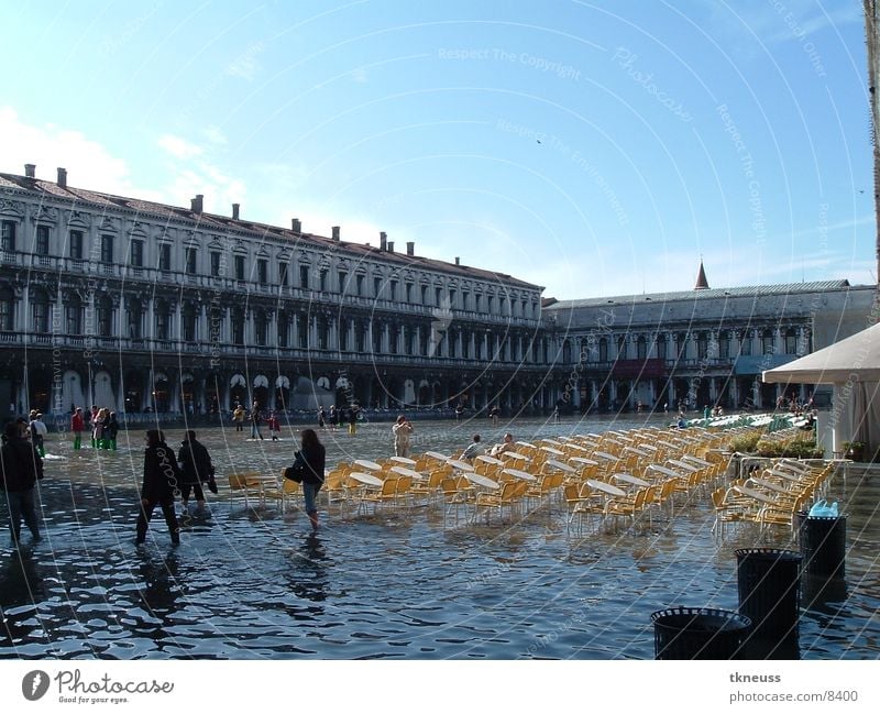 underwater St. Marks Square Venice Underwater photo Inundated House (Residential Structure) Historic Italy Building Basilica San Marco Europe Outdoor furniture