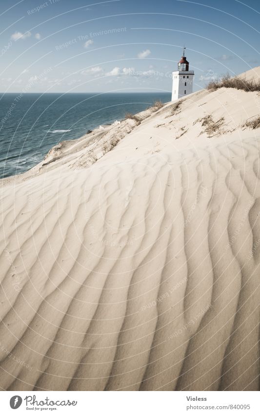 sandman II Vacation & Travel Summer Sun Beach Ocean Waves Coast Bay North Sea Discover Relaxation Beach dune Dune Rubjerg Wanderdüne Rubjerg Knude Lighthouse