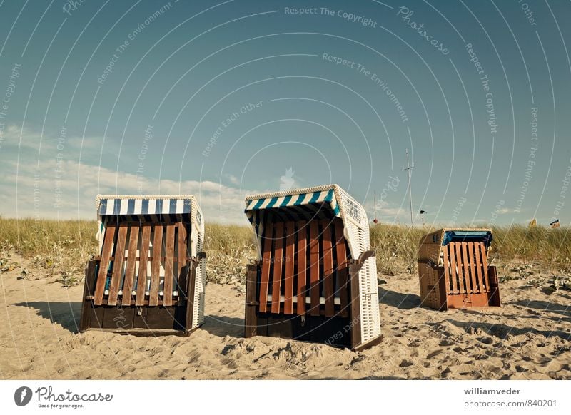 Beach chairs at the edge of the dunes Healthy Wellness Harmonious Well-being Contentment Relaxation Meditation Swimming & Bathing Vacation & Travel Tourism Trip