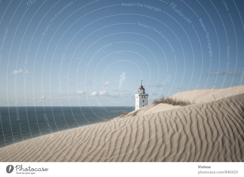 sandman Vacation & Travel Summer Sun Beach Ocean Waves Coast Bay North Sea Discover Relaxation Beach dune Dune Rubjerg Wanderdüne Rubjerg Knude Lighthouse