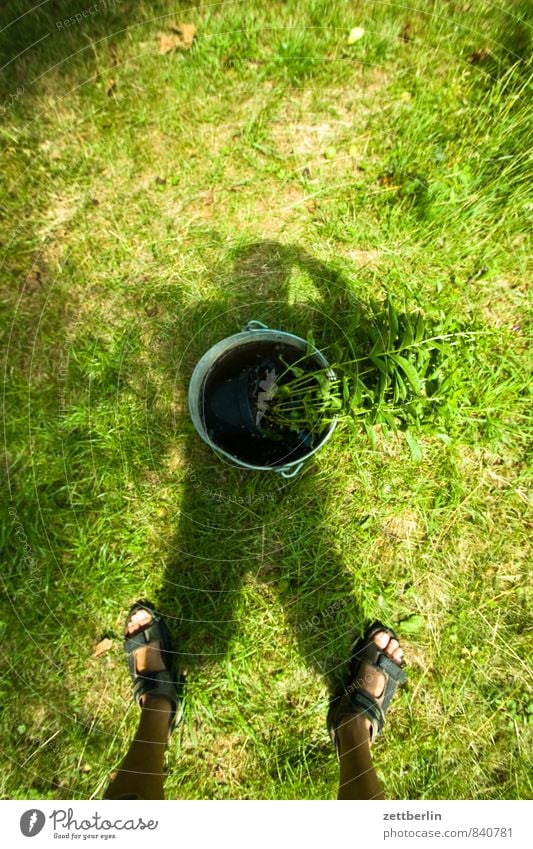Shadow with bucket Grass Meadow Lawn Garden Bucket Feet Sandal Legs Stand Take a photo Self-made Vase Herbaceous plants Flowering plants Stalk Bouquet Summer