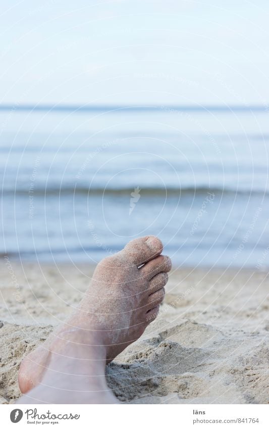 that's all I want... Human being Man Adults Legs Feet 1 Nature Landscape Elements Sand Air Water Summer Coast Beach Baltic Sea Lie Maritime Blue Relaxation