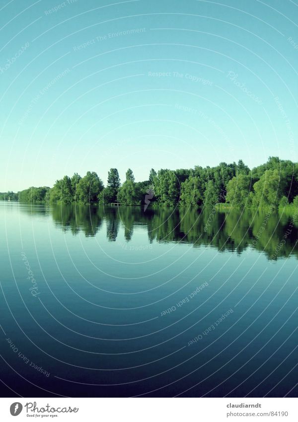 < green wedge > Lake Baseline Greeny-blue Wedge Mirror Symmetry Summer Under Calm Surface Connector Mirror image To be silent Center line Tree Forest Idyll