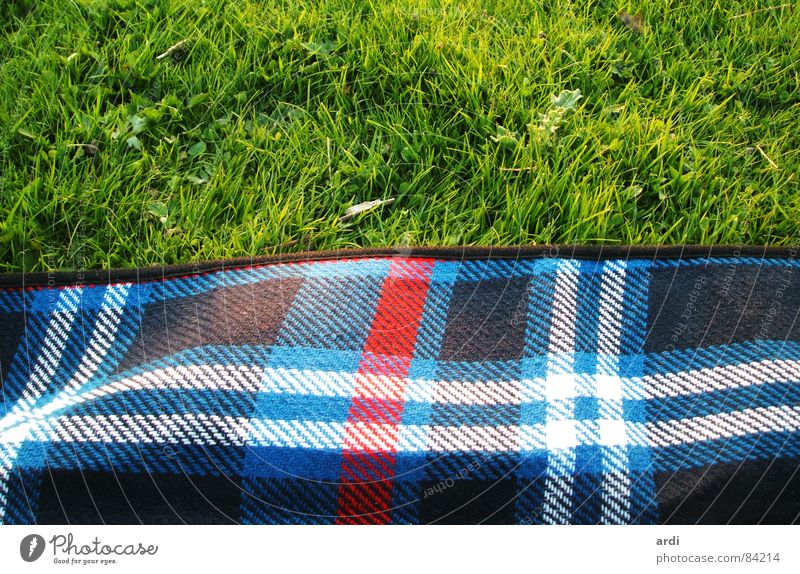 picnic Picnic Grass Meadow Plant Summer Physics Pattern Soft Multicoloured Relaxation Leisure and hobbies Nature Square Lawn Warmth Blanket Line Contentment