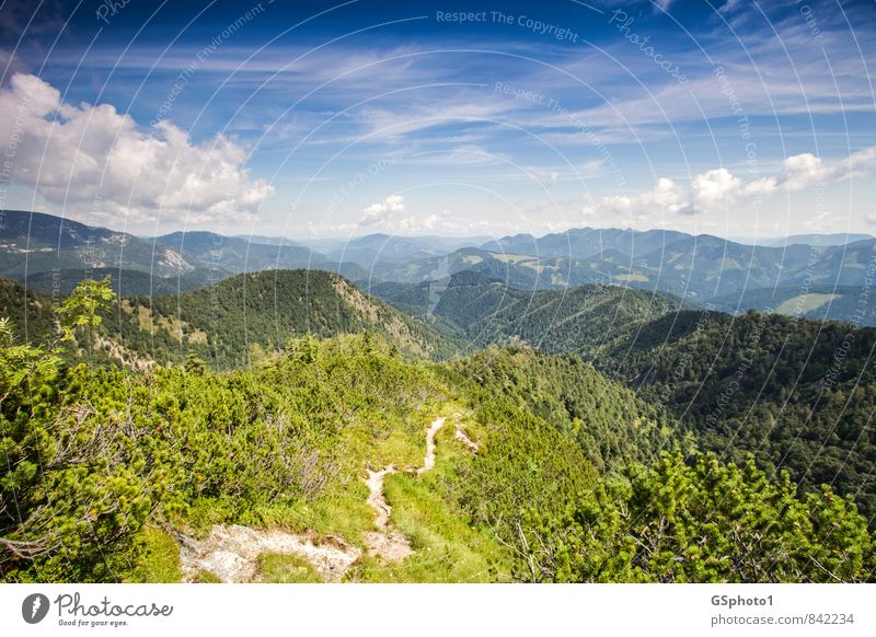 The way to the mountains Nature Landscape Sky Clouds Horizon Sunlight Summer Beautiful weather Mountain Hiking off traipse Forest mountain backdrop water block