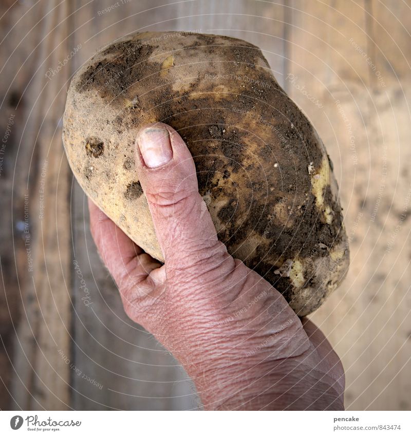 ...have the fattest potatoes! Food Vegetable Human being Hand Fingers 45 - 60 years Adults Nature Elements Earth Summer Autumn Sign Old Work and employment