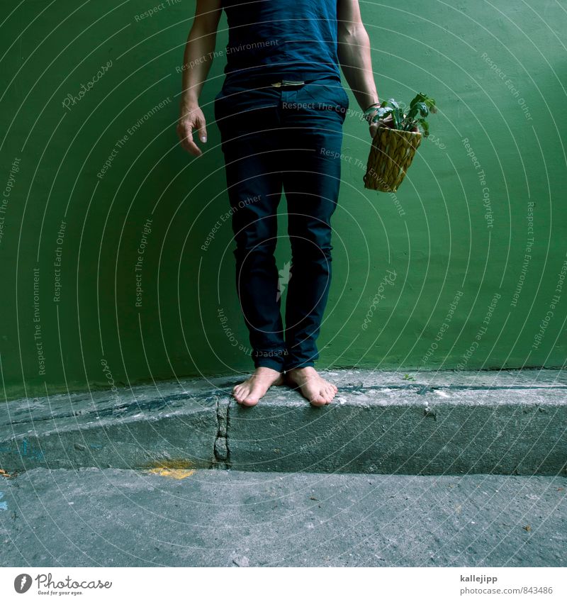 green plant Human being Masculine Man Adults Legs Feet 1 Environment Nature Landscape Plant Animal Foliage plant Pot plant Green Sustainability Cactus Stop
