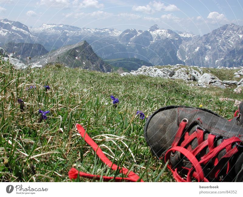 farsightedness Gentian plants Watzmann Jenner Berchtesgaden Summer Meadow Hiking boots Boots Vantage point Far-off places Footwear Break Leisure and hobbies