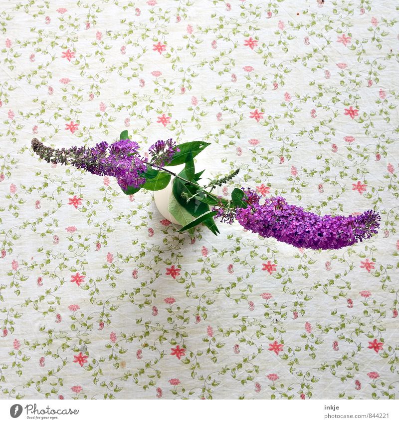 There's your Q! Style Living or residing Decoration Summer Flower Blossom butterfly bush Lilac Flower vase Tablecloth Flowery pattern Blossoming Fragrance