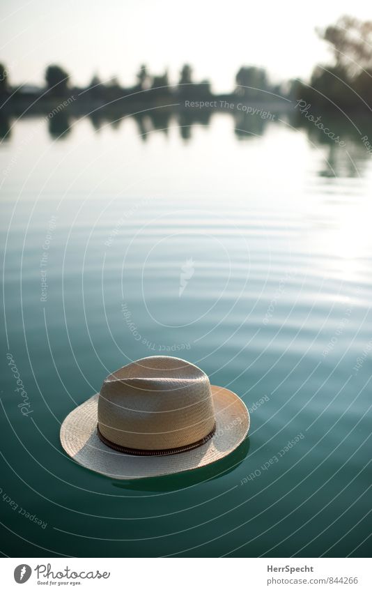 Swim the hat. Vacation & Travel Trip Summer vacation Environment Nature Landscape Water Sky Cloudless sky Beautiful weather Tree Foliage plant Lakeside Pond