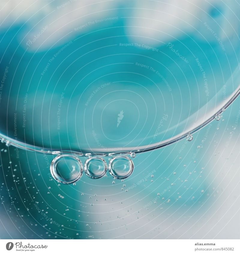 °°° Water Fluid Liquid Bubble Blue Drops of water Round Background picture Waves Wet Air bubble Mineral water Bubbling Tingle Line 3 Circle Rain Bottle