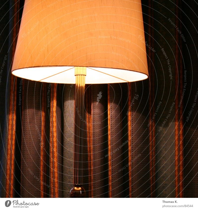 A mute witness. Light Standard lamp Drape Curtain Pattern Electric bulb Boredom dessert slut bedside lamp Light (Natural Phenomenon) Flare alternator Illuminant