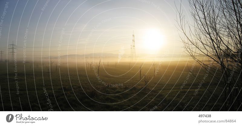 07:00 a.m. Sunrise Electricity pylon Black Forest Hornisgrinde Fog Bushes Landscape
