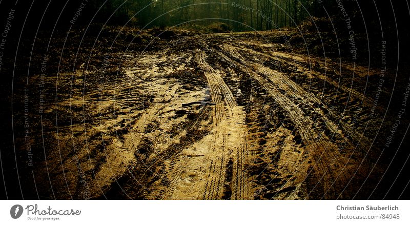 Traces in the mud Mud Silhouette Skid marks Playing Tracks Profile Ski run Racing sports Car race