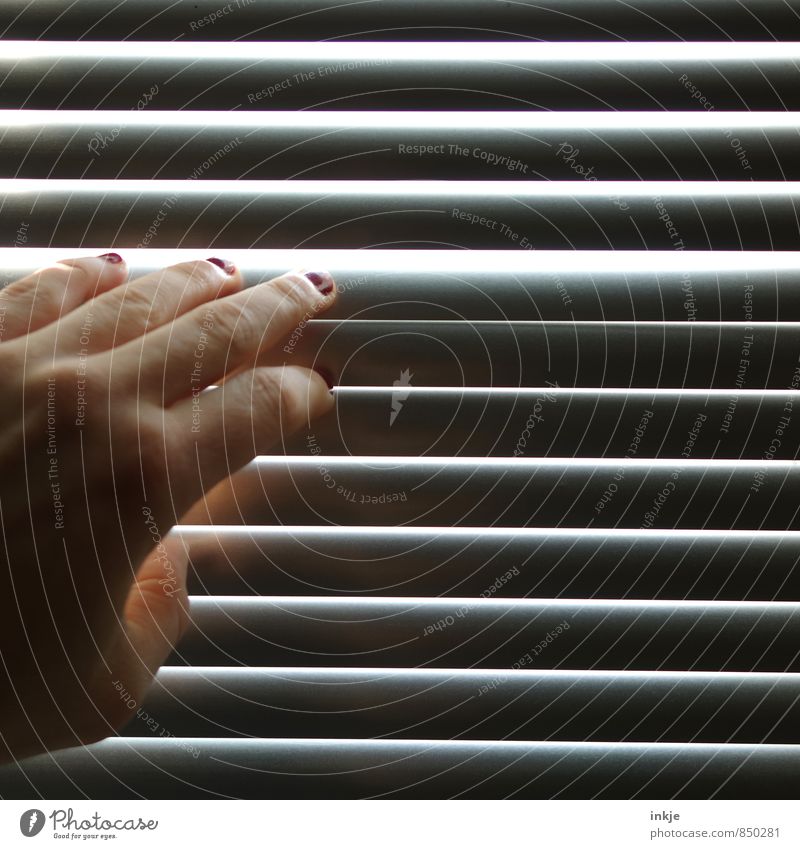 looch Lifestyle Style Nail polish Living or residing Woman Adults Hand Women`s hand 1 Human being Window Venetian blinds Line Stripe Observe Looking Long