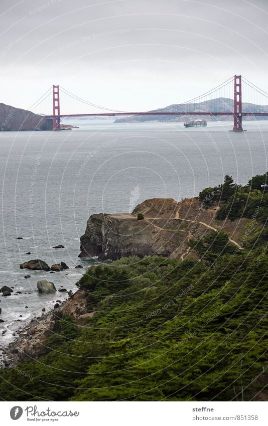 The bridge's never been straight before. Tree Rock Ocean San Francisco USA California Tourist Attraction Landmark Golden Gate Bridge Tourism Colour photo