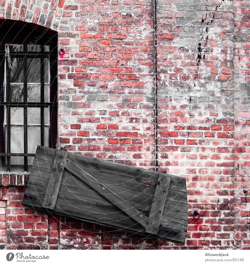 storm damages Wall (building) Wall (barrier) Red Brick Wood Wooden door Gate Square Entrance Beautiful Chic Old Old building Fatigue Loam Passage Portal Shabby