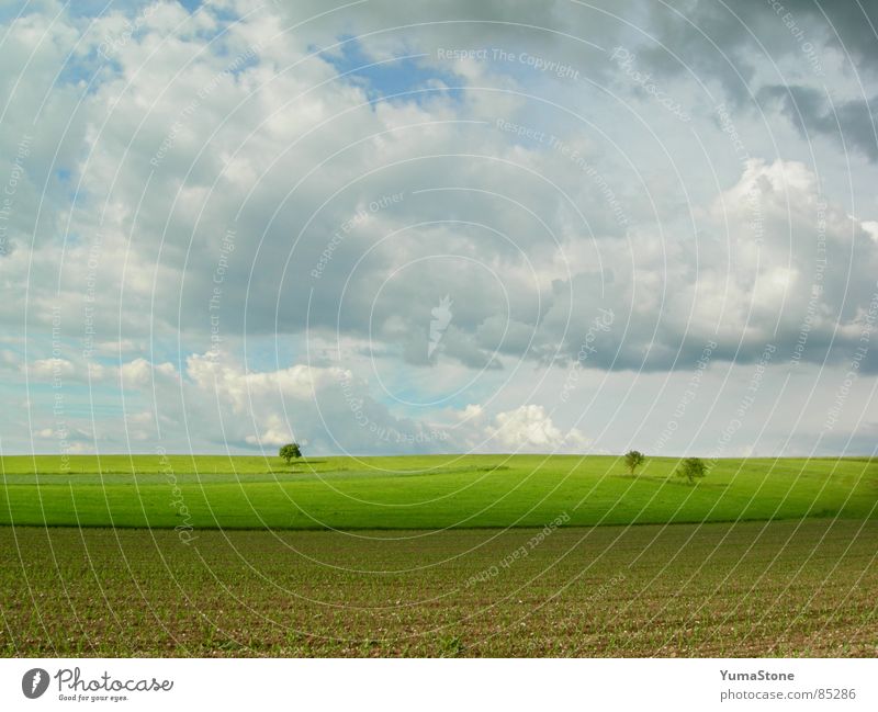 under clouds, above ground Clouds in the sky Bavaria Field Agriculture Landscape Nature Rain Sky