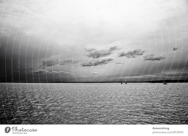 Lake Neusiedl Environment Nature Air Water Sky Cloudless sky Storm clouds Horizon Summer Weather Boating trip Sport boats Sailboat Sports Gray Black White