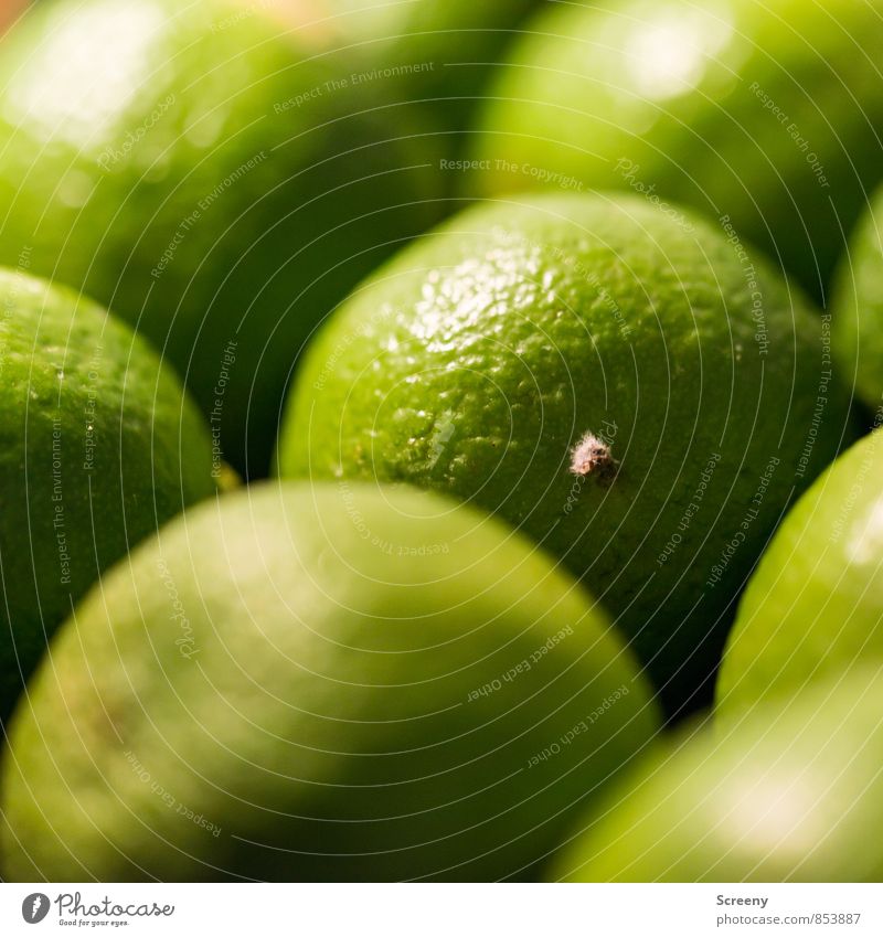 Because angry makes thirsty... Food Fruit Lime Nutrition Round Sour Green Cavernous Nature Colour photo Close-up Macro (Extreme close-up) Deserted