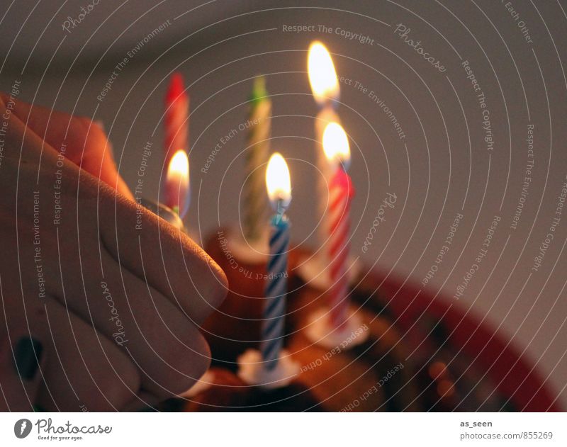Birthday | 200 Design Happy Entertainment Party Feasts & Celebrations Hand Fingers 1 Human being Candle Sign Glittering Illuminate Friendliness Multicoloured