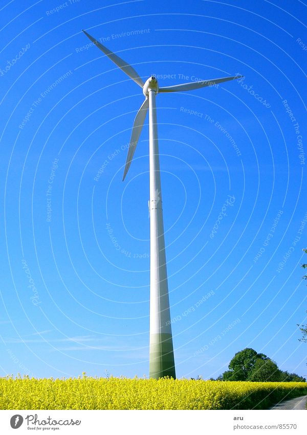 Windmill in the rape field Canola Summer Canola field Wind energy plant Sky Nature Movement
