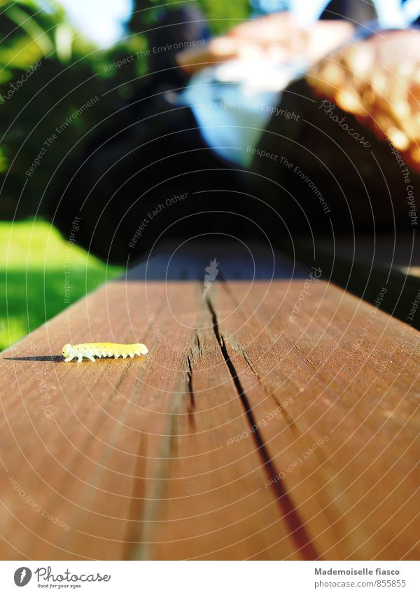 Caterpillar running over park bench with a human lying on it Relaxation Park bench Park bench" Calm 1 Human being Environment Nature Animal Summer Wood Walking