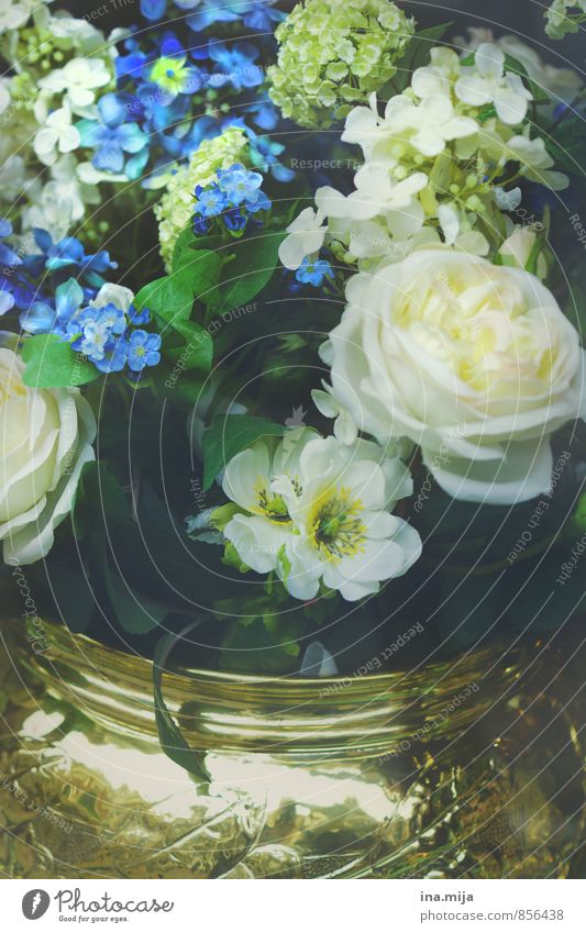 sumptuous floral magic Environment Nature Plant Flower Rose Glittering Kitsch Rich Beautiful Blue Gold White Might Elegant Luxury Style Expensive Bouquet