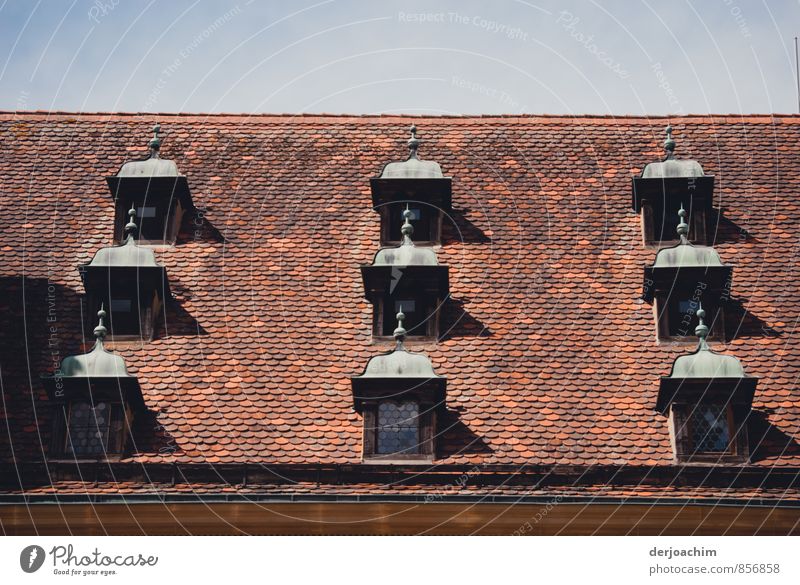 Roof Landscape, Nine Middle Ages Dormer windows in Rothenburg ob der Tauber." Franconia" / Bavaria Exotic Harmonious Inspection City trip Summer Work of art