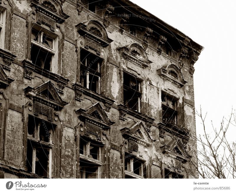 elapsed House (Residential Structure) Derelict Burnt out Old Berlin unrefurbished Shabby Loneliness