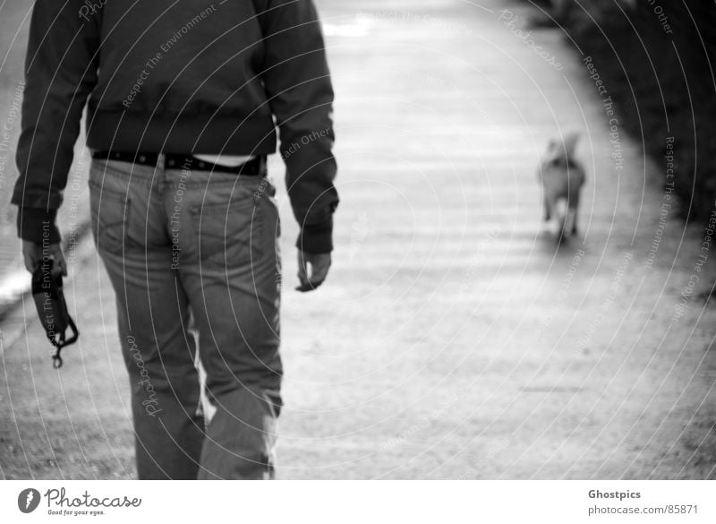 Follow the Dog Going Woman Ace Trust Black & white photo Animal walk Walking Backwards