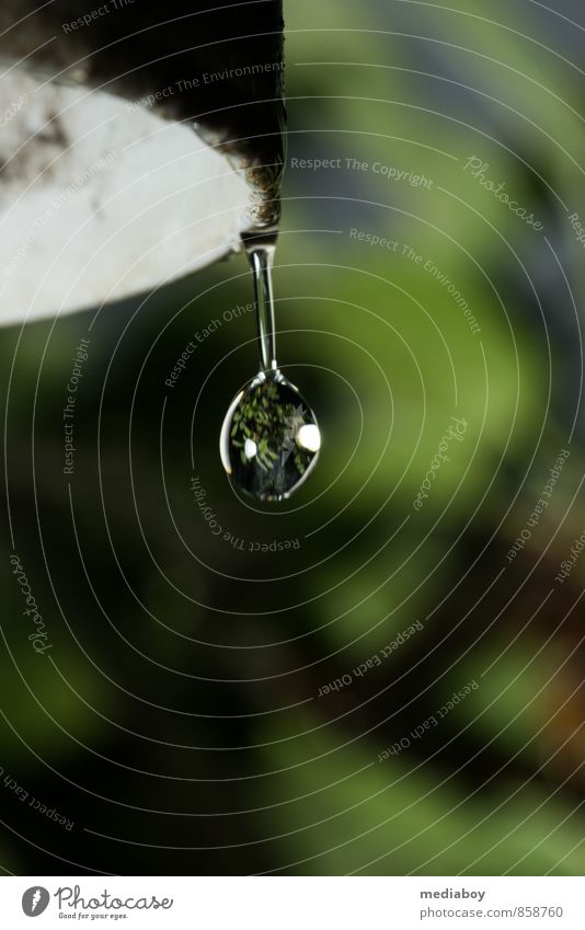 water drops Food Garden Water Drops of water Purity Pipe Colour photo Exterior shot Close-up Copy Space bottom Flash photo Shallow depth of field