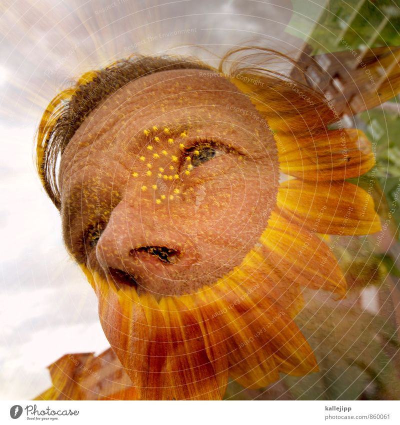 like this nen´bart Human being Masculine Face 1 30 - 45 years Adults Environment Nature Plant Flower Garden Blossoming Sunflower Facial hair Double exposure