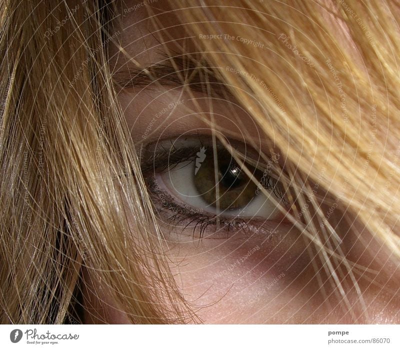 eye Pupil Make-up Beautiful Attractive Macro (Extreme close-up) Close-up Hair and hairstyles Nose eyeliner Eyelash