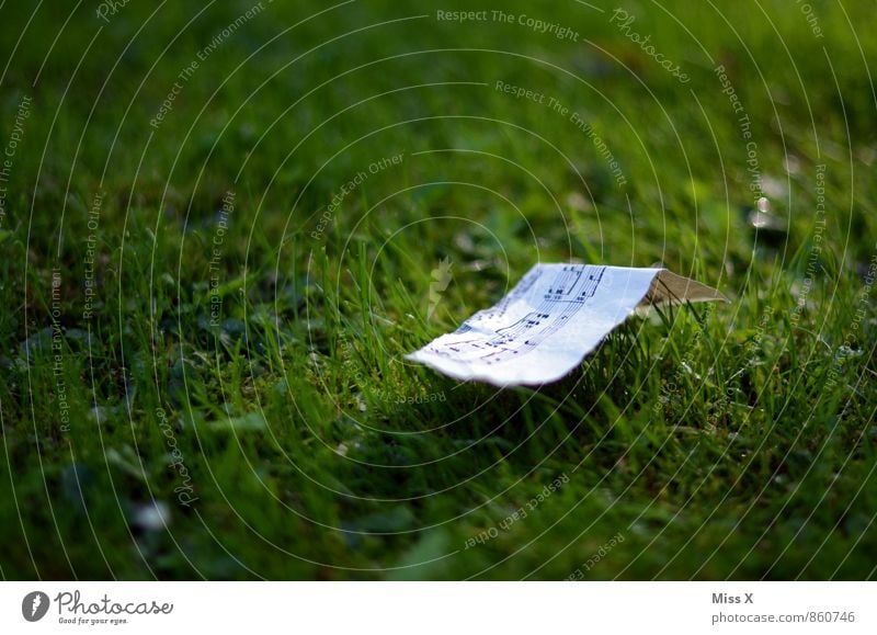 a soft love song Music Musical notes Grass Meadow Paper Sign Emotions Moody Love Infatuation Dream Longing Song Sheet music Ease Colour photo Exterior shot