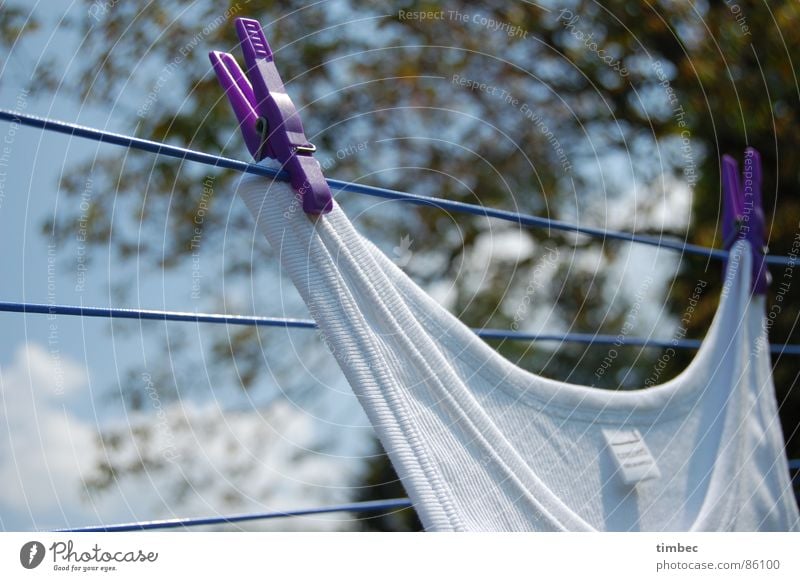 Grandpa's best Loop Rutting season Knit Pattern Textiles Production Laundry Clothesline Summer Physics Clean Cleaning Undershirt Clothes peg Holder Violet
