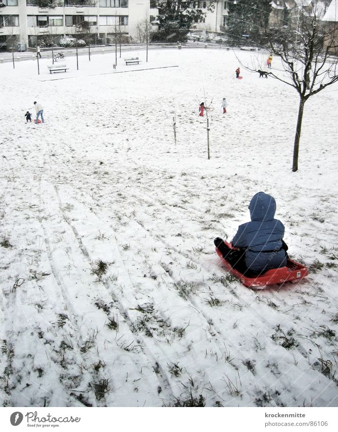 on the hill of idiots Sledding Suburb Child Cold Toddler Joy Winter Playing ski jacket idiot mound Snow Tracks Boy (child) lack of snow Winter clothing