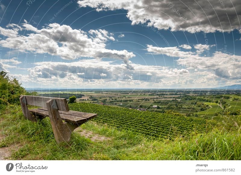 emperor's bank Tourism Trip Hiking Environment Nature Landscape Sky Clouds Horizon Summer Beautiful weather Plant Field Wine growing Bench Relaxation To enjoy