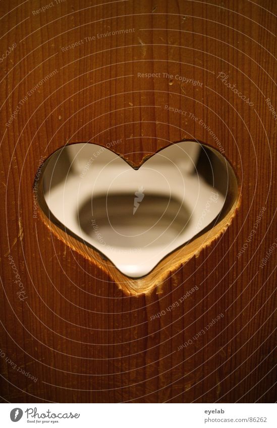 A heart for tensioners Toilet Urge to urinate Observe Window Wood Bowel movement Brown Eyeglasses Toilet seat Bathroom Voyeurism Obscure Contentment toilet lid