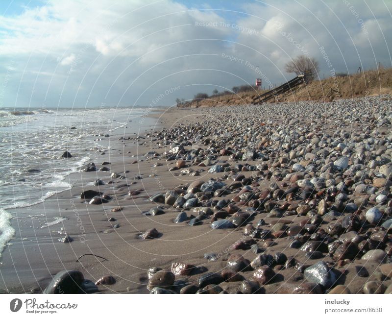 sandy beach Ocean Beach Low tide Stone Sand dlg stones ebb