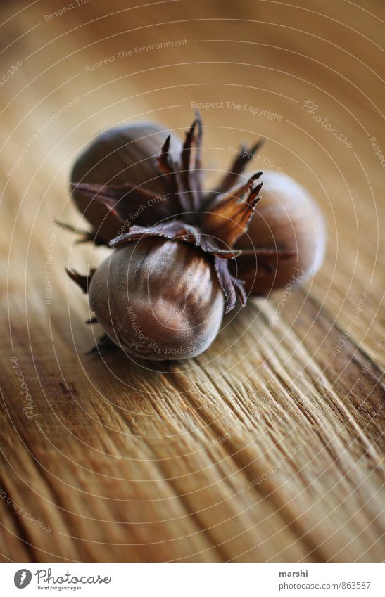 Three hazelnuts for Cinderella Nature Plant Brown Hazelnut 3 Fruit Hazel brown Hazelnut kernel Hazelnut leaf Wooden table Shallow depth of field Colour photo