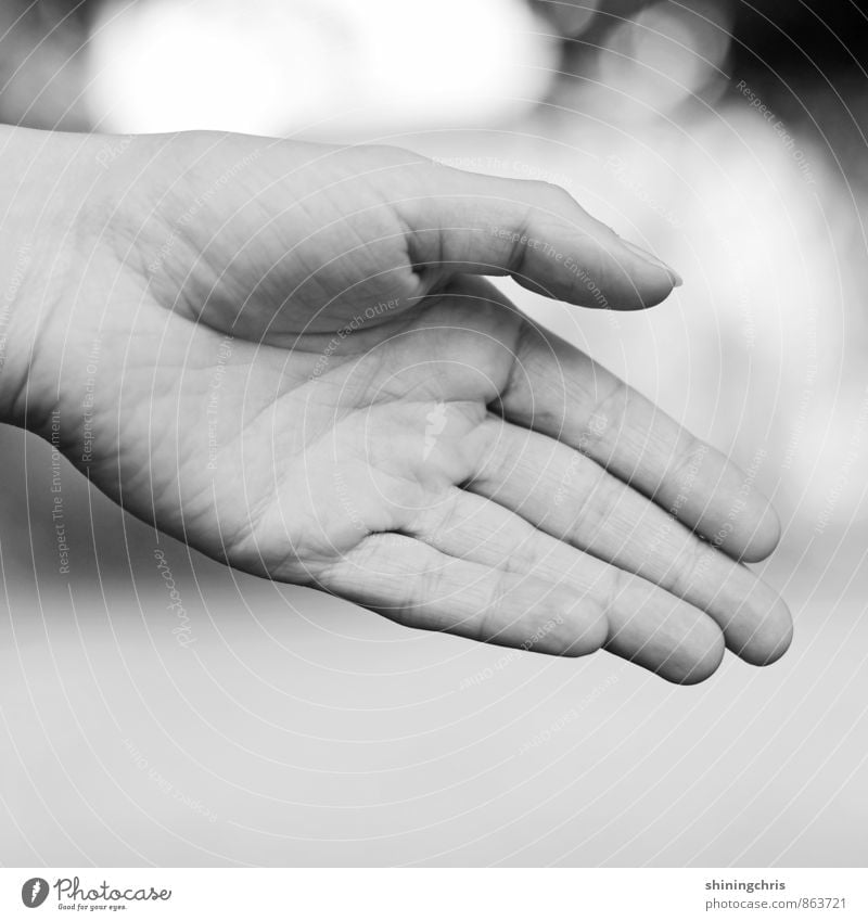 handshake Feminine Woman Adults Hand Fingers 30 - 45 years Success Gray Black White Willpower Brave Determination Acceptance Trust Safety Agreed Help Grateful