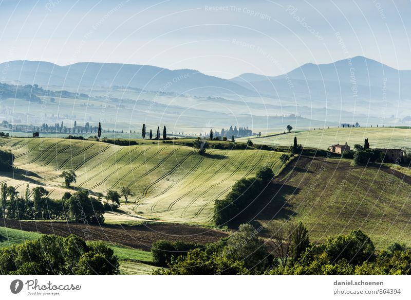 the other day in Tuscany Environment Nature Landscape Field Hill Green Calm Subdued colour Deserted Copy Space top Panorama (View)