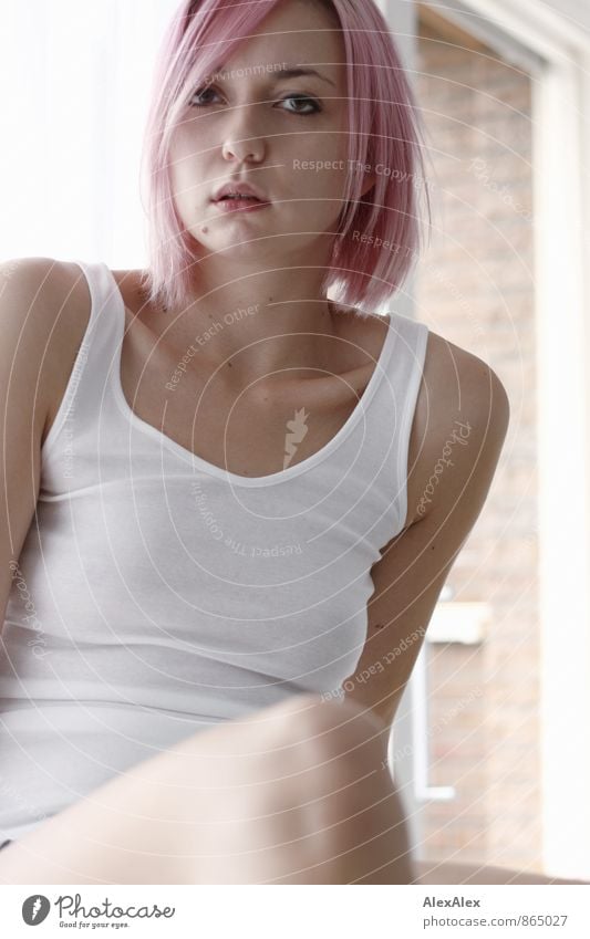 Close portrait of young slim woman with pink hair in front of a window Style Young woman Youth (Young adults) 18 - 30 years Adults Youth culture Subculture Punk